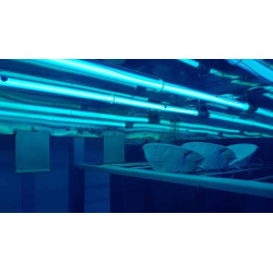 carro UV eliminación de plagas hongos parronales viñateros