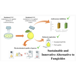 carro UV eliminación de plagas hongos parronales viñateros