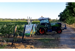 Cuando la luz mejora el vino: tecnología UV-C en viñedos para controlar enfermedades y potenciar la calidad enológica de las uvas